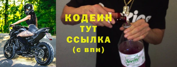 ГАЛЛЮЦИНОГЕННЫЕ ГРИБЫ Вяземский