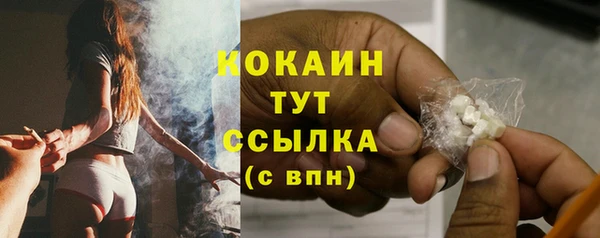 крисы Вязники