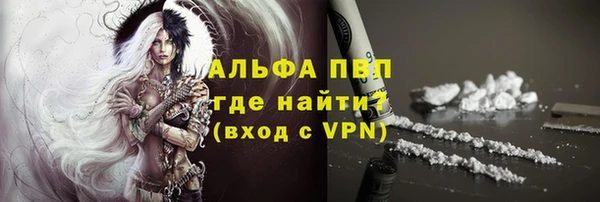 ГАЛЛЮЦИНОГЕННЫЕ ГРИБЫ Вяземский