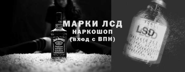 ГАЛЛЮЦИНОГЕННЫЕ ГРИБЫ Вяземский