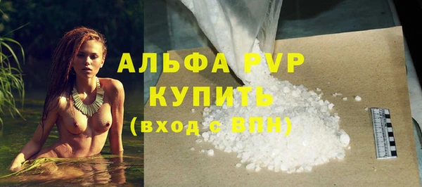 ГАЛЛЮЦИНОГЕННЫЕ ГРИБЫ Вяземский