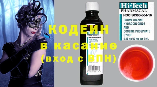 ГАЛЛЮЦИНОГЕННЫЕ ГРИБЫ Вяземский