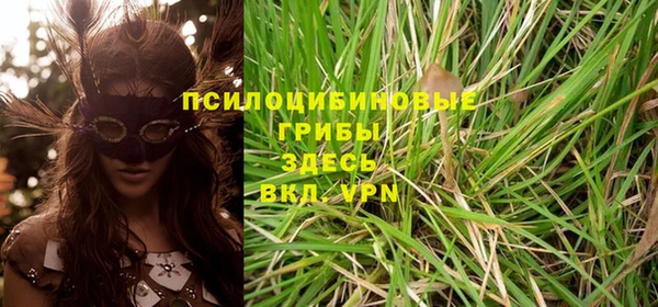 ГАЛЛЮЦИНОГЕННЫЕ ГРИБЫ Вяземский