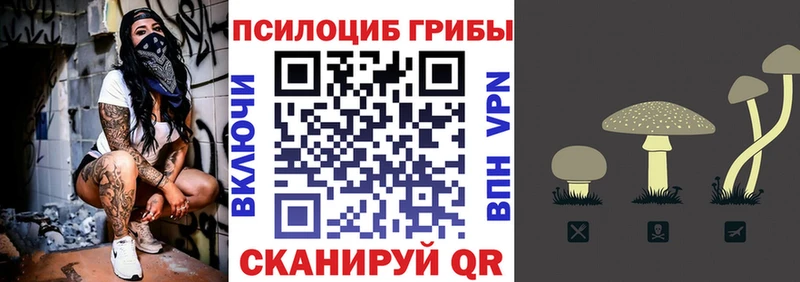 Галлюциногенные грибы мицелий  мориарти какой сайт  Элиста  как найти закладки 